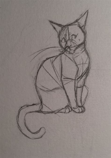 Pin By Eddie On Art Tips Ideas Cat Sketch Cats Art Drawing Warrior Cat Drawings