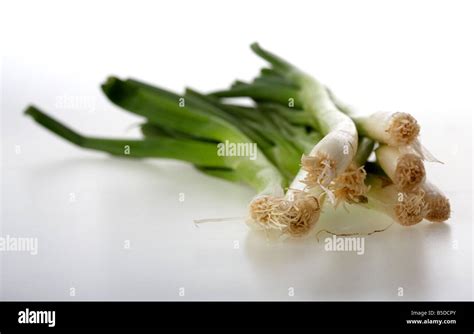 Bunch Of Spring Onions Hi Res Stock Photography And Images Alamy