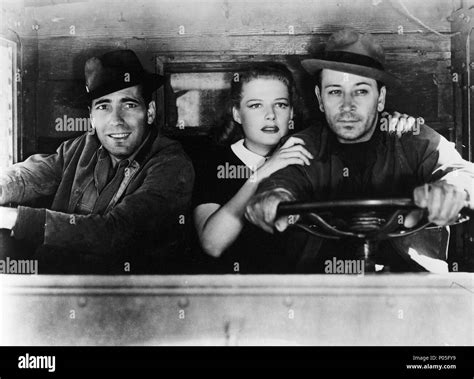 Original Film Title They Drive By Night English Title They Drive By