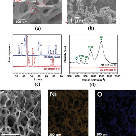 A B Low And High Magnification Fesem Images Demonstrating The