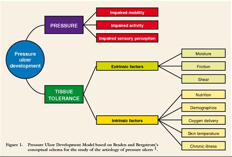 Figure 1 from Risk Factors for Pressure Ulcers - Can They Withstand the ...