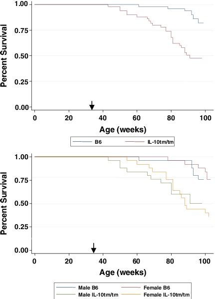 Kaplan Meier Survival Curves By Strain Top Panel And By Strain And