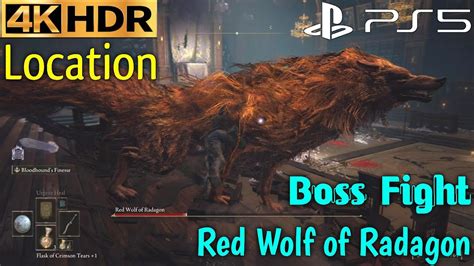 Red Wolf Of Radagon ELDEN RING Red Wolf Of Radagon Boss Fight