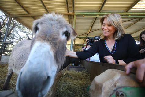 L Bloco Quier Ls Denheiros De Louropa A Chegar Als Burros De Miranda