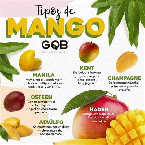 Tipos De Mango Comida Mandarinas Melocoton