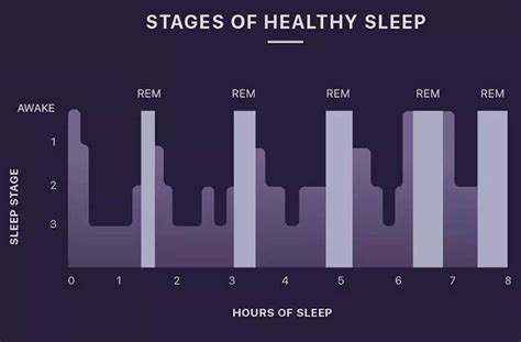 The 4 Different Sleep Stages And Cycles Sleep Examiner