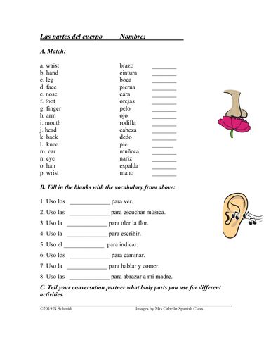 Las Partes Del Cuerpo Worksheet Answers