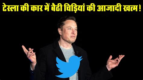 Elon Musk Elon Musk Acquires Twitter