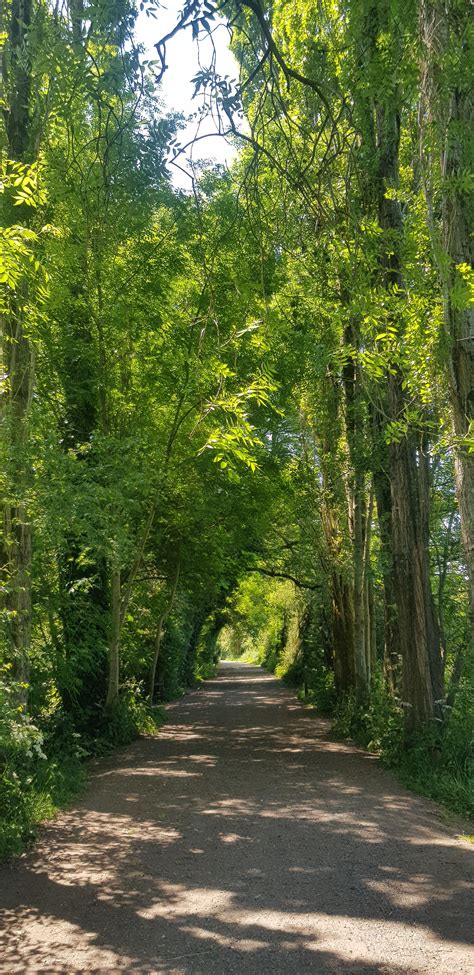 Fletcher Moss Park : r/manchester