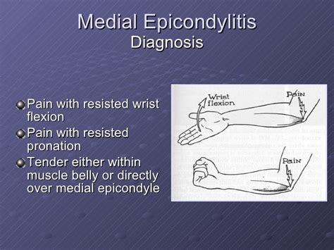 Forearm And Elbow Pathologies Dr Mark Davies Sjsu Spring 2008