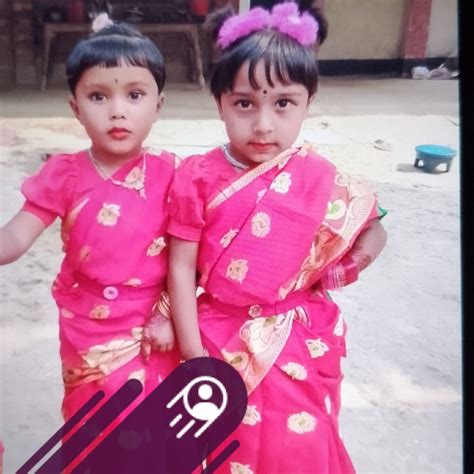 bulbul miza