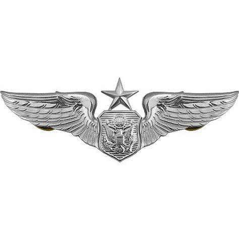 Aircrew Officer Badge Usamm