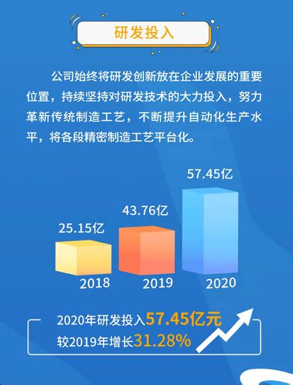 立讯精密2020年年度报告 线束世界