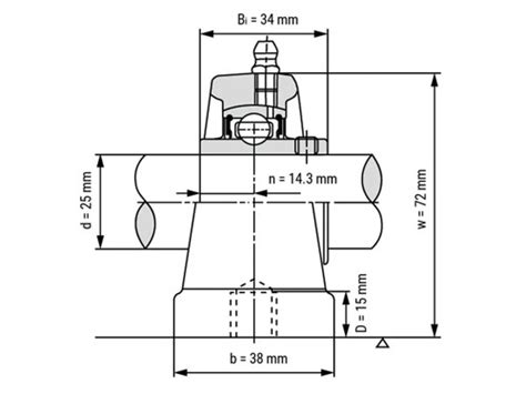 IBB Flenslager Staand UCPA205 25mm LagerKoning Nl