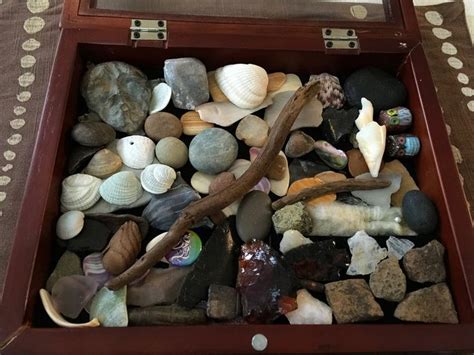 Show Off Your Rock And Mineral Collection With These Display Cases Rock