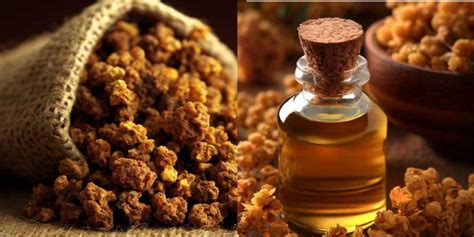 Myrrh Benefits, Uses & Applications Guide | Oh Mighty Health