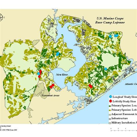 Study site locations and locations of loblolly/ longleaf pine within ...