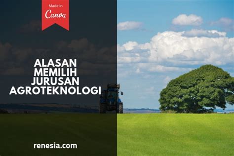 Alasan Memilih Jurusan Agroteknologi Bagi Yang Bingung Kuliah Apa