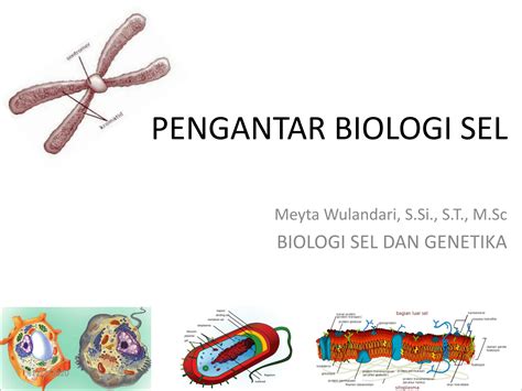 SOLUTION Materi Kuliah Tinjauan Umum Struktur Dan Fungsi Sel 2020