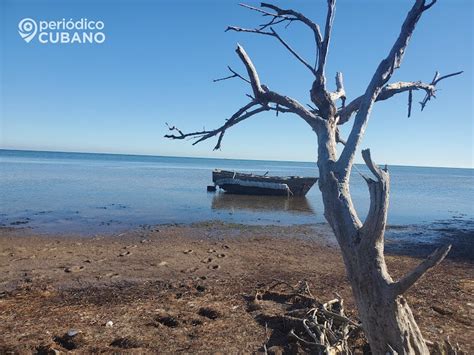 Balsero Cubano Relata C Mo Sobrevivi D As En El Mar Con Ancianos Y