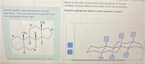 Solved Based On The Chair Conformations Of Trans Decalin In Chegg