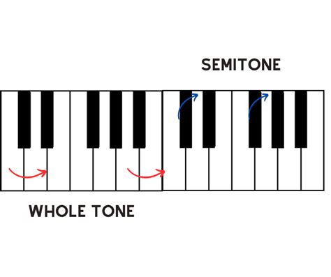 What Are Music Scales Comprehensive Beginners Guide