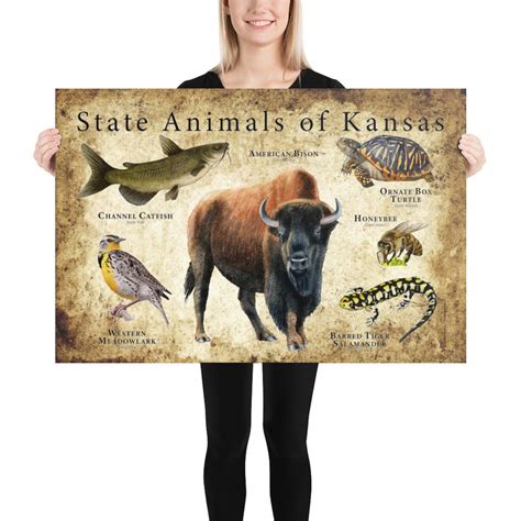 Kansas State Animals Poster Print Etsy