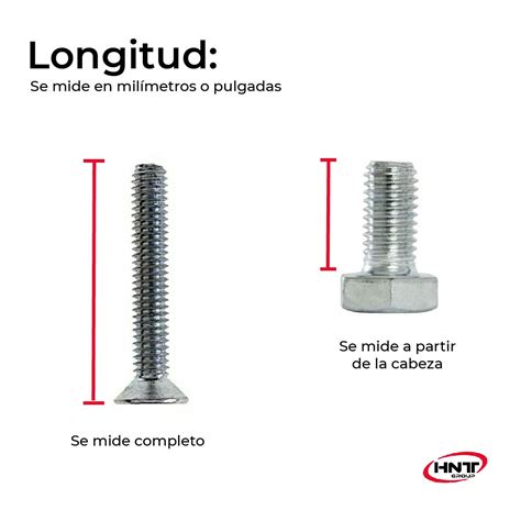 13 Tipos De Tornillos Características Medidas Y Usos Hntools