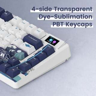 Womier Wired Mechanical Keyboard S K Gasket Mounted Rgb Keyboard With Oled Display Hot