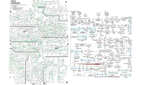 A comprehensive metabolic map for production of bio-based chemicals