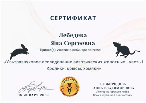 Сертификаты ветеринарной клинике one:vet