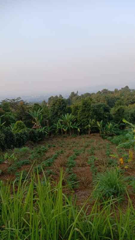 Cijeruk Bogor Tajur Halang Tanah Best View