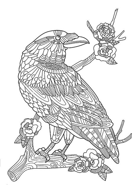 Crow Coloring Pages For Adults Adult Coloring Pages Bird Coloring