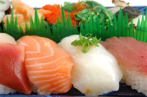 Surf Clam Salmon Squid And Tuna Sushi Stock Photo Image Of Sashimi