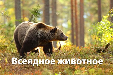50 интересных вопросов для детей, над которыми будет интересно подумать ...