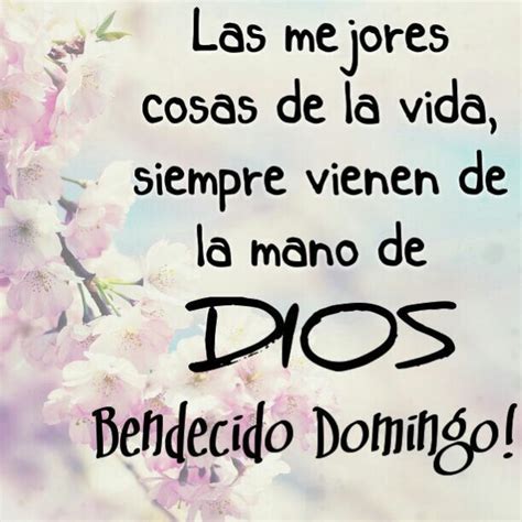 100 Imágenes Cristianas Feliz Domingo Gratis Imagenes Feliz Domingo Feliz Domingo Frases