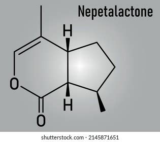 Nepetalactone Catnip Cat Attractant Molecule Skeletal Stock Vector (Royalty Free) 2145871651 ...