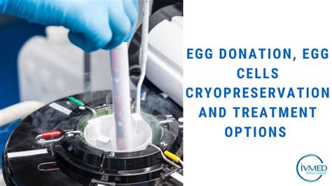 Egg Donation Egg Cells Cryopreservation And Treatment Options Ivmed