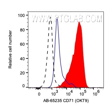 CD71 Antibody AB 65235 Proteintech