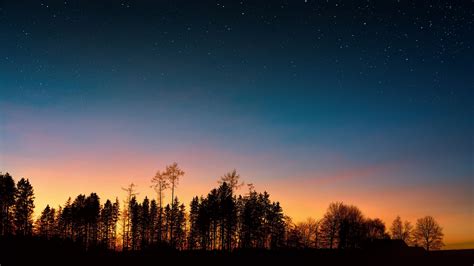 Wallpaper Id Starry Sky Trees Sunset Night Forest K Free