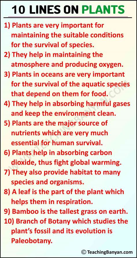 10 Lines On Plants For Children And Students Of Class 1 2 3 4 5 6