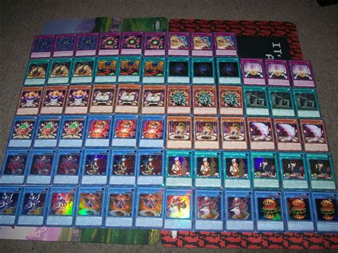 Card Nouvelles Deck Poeltis Glasya Confiras Baelgrill Wisu Yu Gi Oh