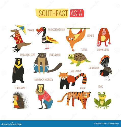 South East Asia Animals Vector Cartoon Design Stock Vector ...