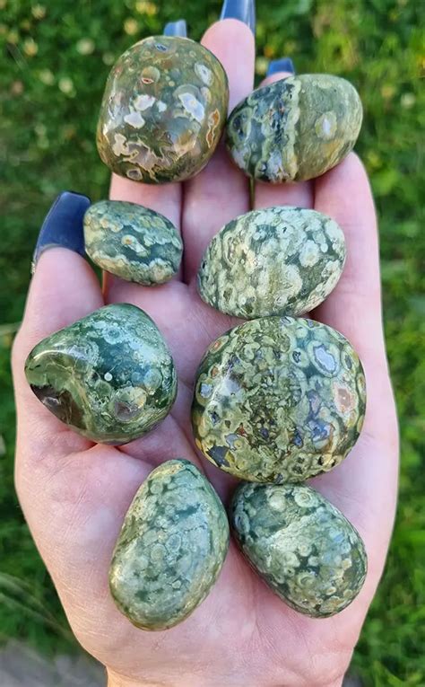 Premium Rainforest Jasper Rhyolite Tumbled Stone Crystals