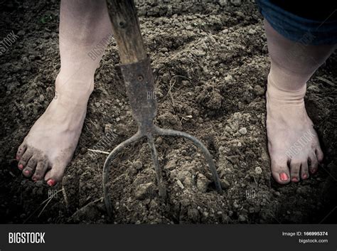 Woman Bare Feet On Image And Photo Free Trial Bigstock