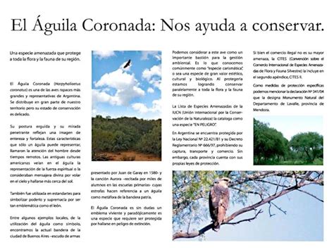 Pdf Folleto Aguila Coronada Fundación Azara · Aguila Cofonada