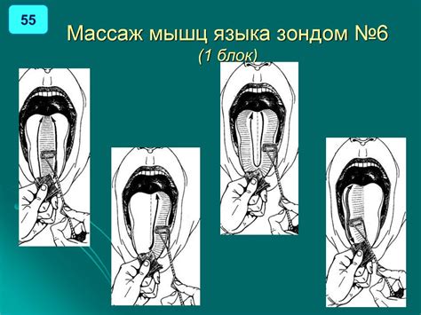 Введение в логопедический массаж. Базовые приемы и экспресс-схемы ...