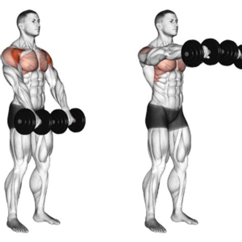 Dumbbell Front Raise by Richard Terry Jr - Exercise How-to - Skimble