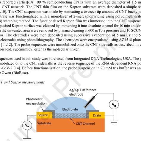 Schematic Of The Cnt Fet Fabricated On A Flexible Kapton Substrate With