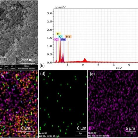 Analysis Profiles Of The Virgin Magnetic Chitosan A Sem B Edx Spectra Download Scientific